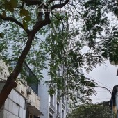 Bán nhà mặt phố Bảo Khánh, HK 60m, 6T có TM, MT5m, ô tô, KD, 70 tỷ. LH: 0366051369